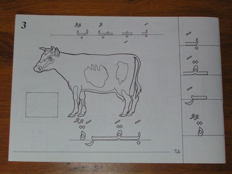 12. Pak je pen theorie – Schriftgeschiedenis | Pak je pen en Portfolio